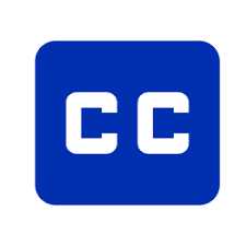 Professional subtitle transcription services